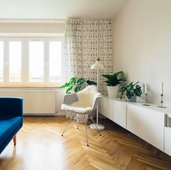 Modern interior with plants